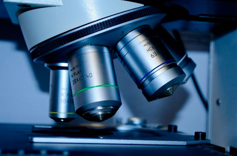 Inteligencia artificial contra el cáncer